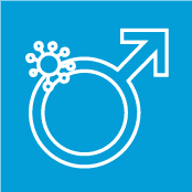 Testicular, Penile, and Rare Malignancies