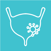 Muscle Invasive Urothelial Carcinoma